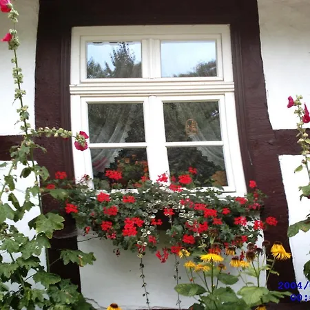 In * Ulrichshusen
