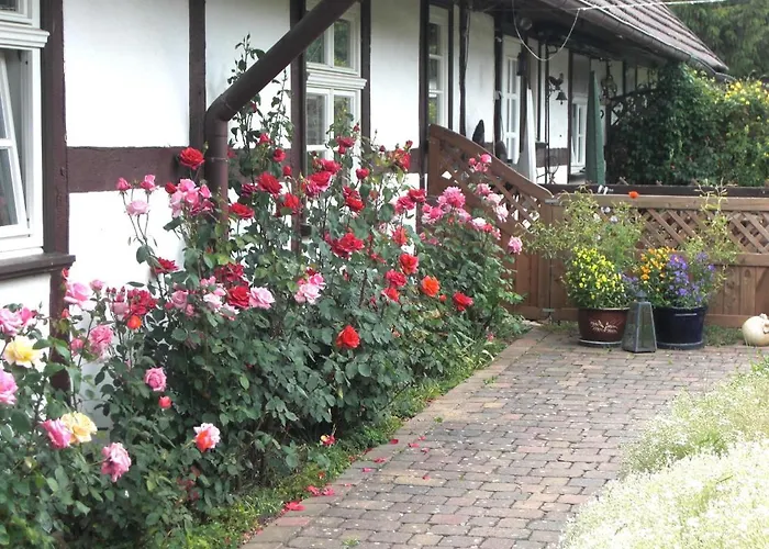 In شقة Ulrichshusen